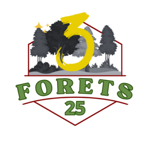 Festival des 3 forets 25 km