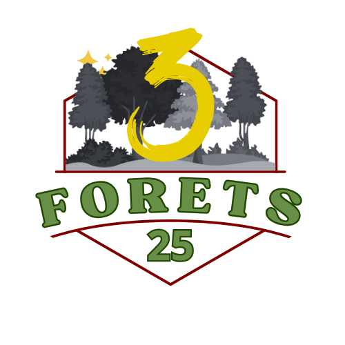 Festival des 3 forets 25 km